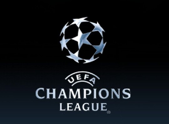 专业教练的 专业教练的